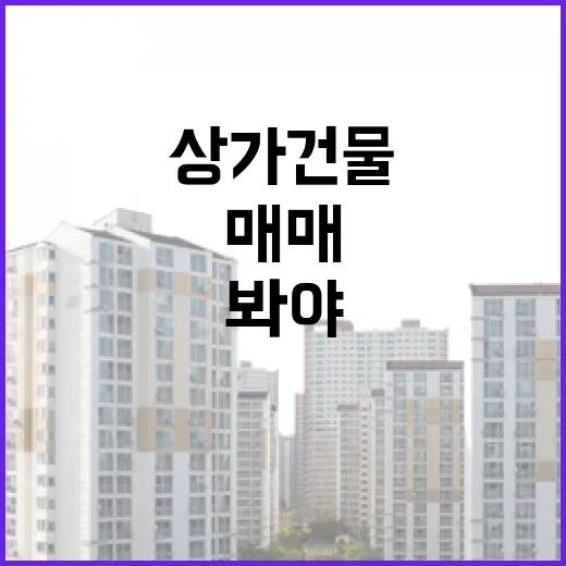 상가건물매매 직접 뛰어보니, 숫자보다 먼저 봐야 할 게 있었습니다 - 요약
