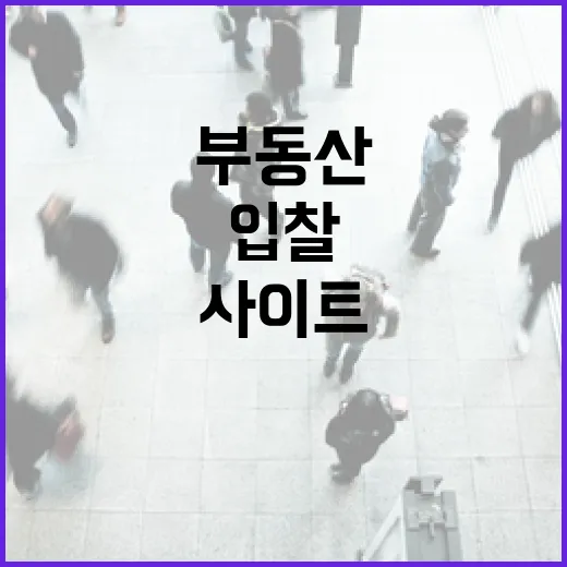 부동산사이트만 믿고 입찰했다가 현장에서 식은땀 난 이야기 - 요약