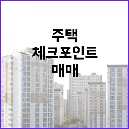 주택매매 계약서 여러 번 찢어본 사람이 말하는 진짜 체크 포인트 - 요약