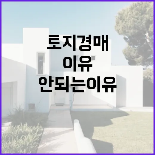 토지경매 직접 들어가 봤더니, 지도만 보고 덤비면 안 되는 이유 - 요약