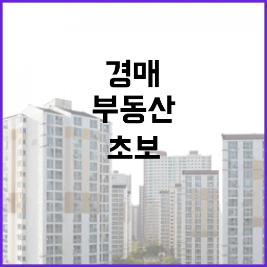법원부동산경매 입찰장에 직접 가봤더니 초보가 제일 먼저 깨지는 지점 - 요약