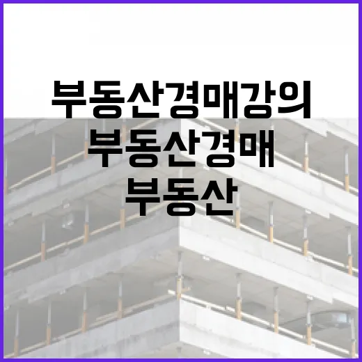 부동산경매강의 7개 들어보고 입찰장까지 가본 사람의 진짜 이야기 - 요약