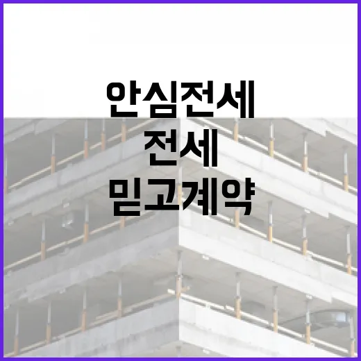 안심전세 믿고 계약했다가 경매까지 가본 집의 진짜 이야기 - 요약