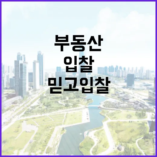 부동산어플만 믿고 입찰했다가 현장에서 식은땀 난 이야기 - 요약