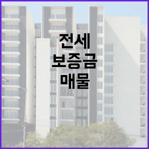 전세매물만 믿고 들어갔다가 보증금이 묶이는 순간을 현장에서 봤습니다 - 요약