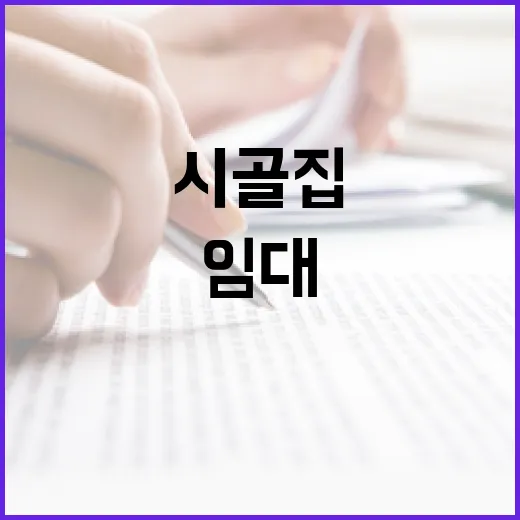 시골집임대 직접 알아보다가 현장에서 배운 진짜 이야기 - 요약
