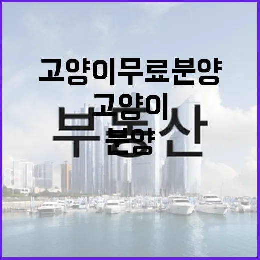 고양이무료분양 직접 문의해봤더니, 공짜보다 먼저 봐야 할 게 있었습니다 - 요약
