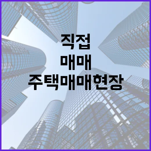 대구주택매매 현장 몇 군데 직접 돌아보니 숫자보다 먼저 보이는 것들 - 요약