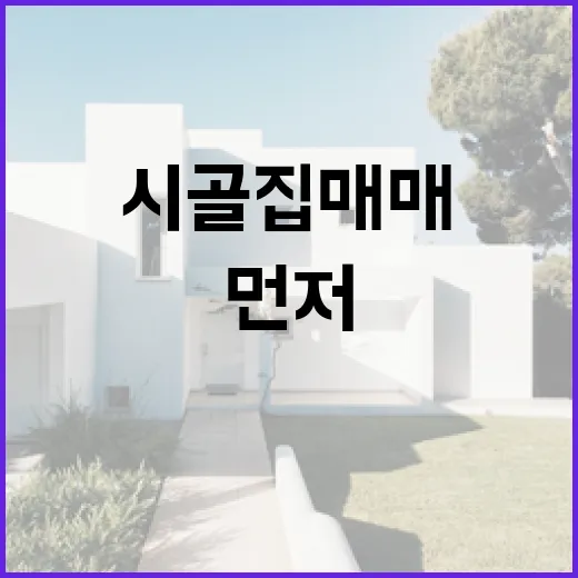 시골집매매 직접 보러 다녀보니, 사진보다 먼저 봐야 할 것들 - 요약