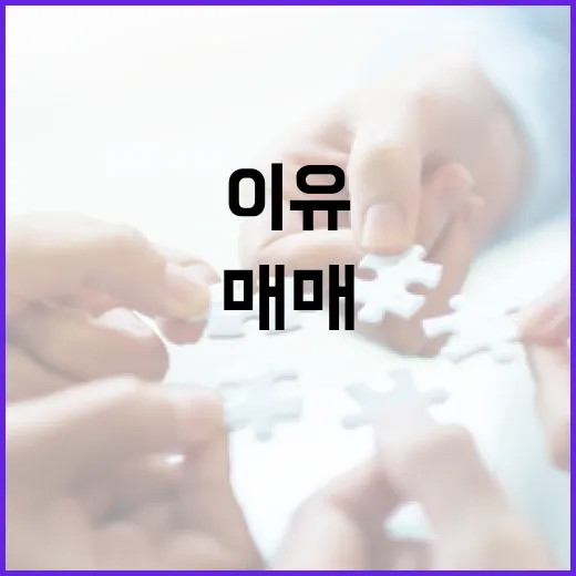 건물매매 직접 뛰어보니, 싸게 산 줄 알았던 건물이 돈 먹는 이유 - 요약