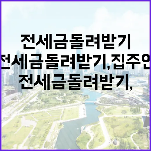 전세금돌려받기, 집주인 말만 믿고 기다린 세입자 옆에서 본 이야기 - 요약