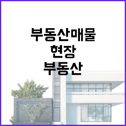 부동산매물사이트만 믿고 입찰했다가 현장에서 다시 계산한 이야기 - 요약