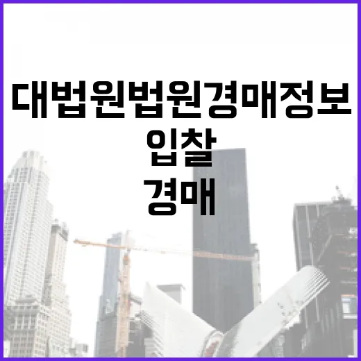 대법원법원경매정보만 믿고 입찰했다가 현장에서 다시 확인한 이야기 - 요약
