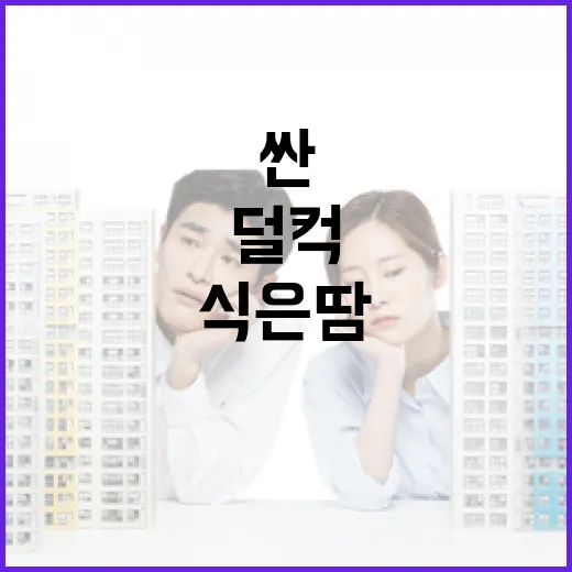 싼 땅이라고 덜컥 땅매매 해봤다가 현장에서 식은땀 난 이야기 - 요약