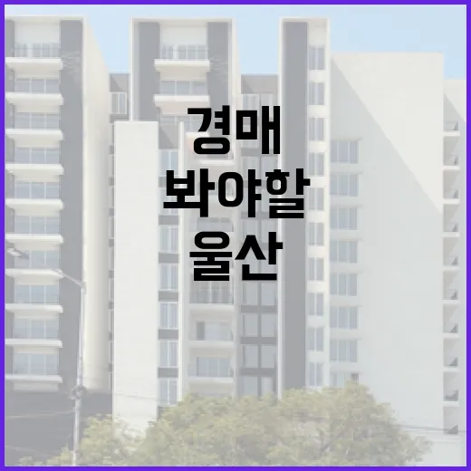 울산경매 몇 번 따라가 봤더니, 숫자보다 먼저 봐야 할 게 있었습니다 - 요약