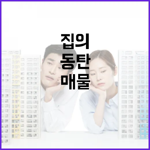 동탄전세 매물 직접 훑어봤더니, 초보가 싼 줄 알고 들어가는 집의 공통점 - 요약