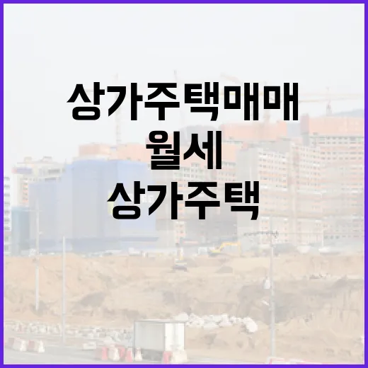 상가주택매매 물건 직접 따라가 봤더니, 월세보다 먼저 봐야 할 게 있었습니다 - 요약