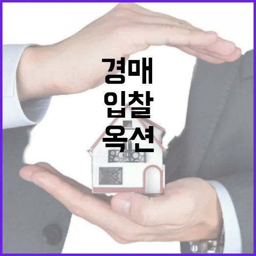 옥션경매로 첫 입찰 따라가 봤더니 현장에서 바로 보인 위험 신호들 - 요약