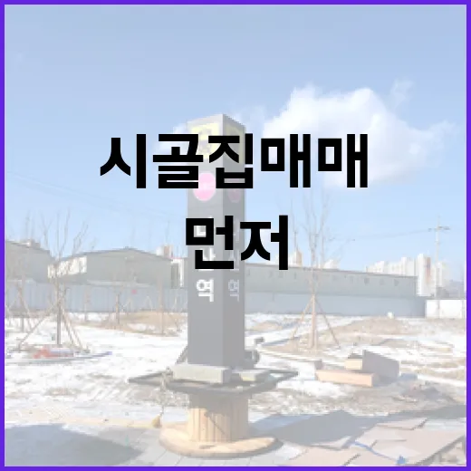 시골집매매 직접 따라가 봤더니, 싼 집보다 먼저 봐야 할 것들 - 요약