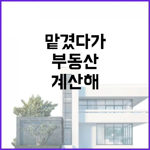 부동산컨설팅 맡겼다가 입찰장 앞에서 다시 계산해본 진짜 이야기 - 요약