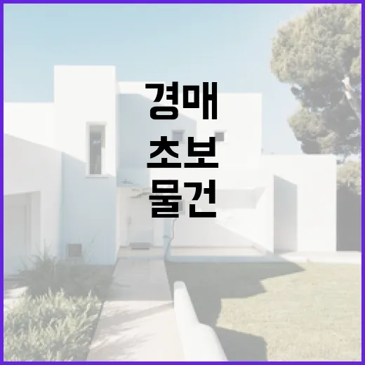 대법원경매사이트로 물건 찍어봤더니 초보가 놓치기 쉬운 게 먼저 보였다 - 요약