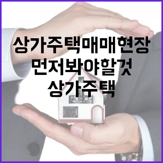 상가주택매매 현장에서 직접 부딪혀보니 숫자보다 먼저 봐야 할 것들 - 요약