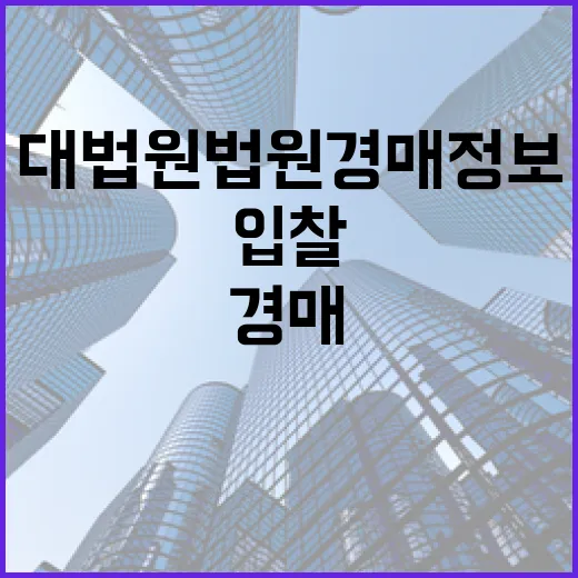 대법원법원경매정보만 믿고 입찰했다가 현장에서 식은땀 난 이야기 - 요약