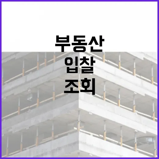 부동산시세조회만 믿고 입찰했다가 식은땀 난 이야기 - 요약