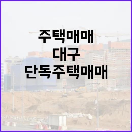 대구 단독주택 매매 물건을 경매장에서 직접 따라가 봤더니 - 요약