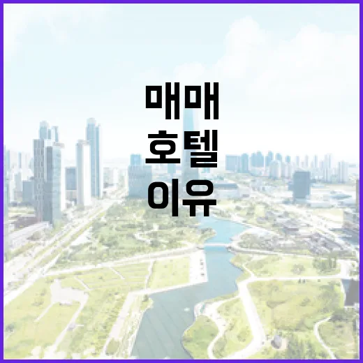 호텔매매 물건을 직접 검토해봤더니, 싸 보이는 호텔이 더 무서웠던 이유 - 요약