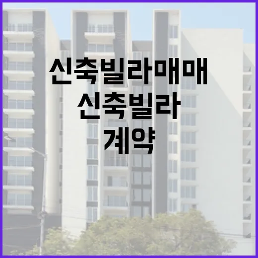 신축빌라매매 계약 직전까지 갔다가 발 빼본 진짜 이야기 - 요약