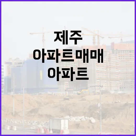 제주아파트매매 물건 직접 따라가 봤더니, 바다보다 숫자가 먼저 보였습니다 - 요약