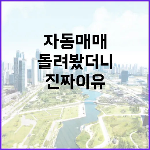 자동매매프로그램 직접 돌려봤더니, 경매보다 무서웠던 진짜 이유 - 요약