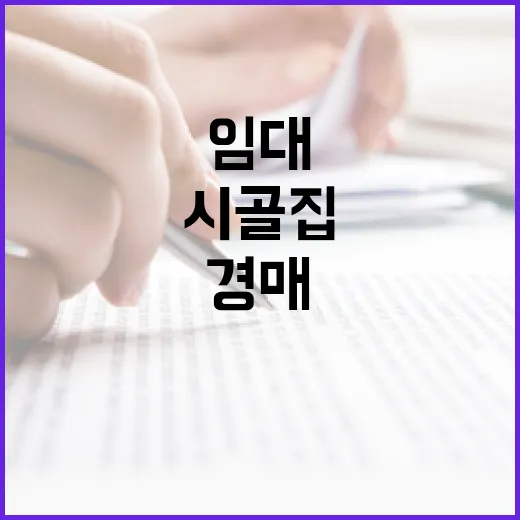 시골집임대 6개월 살아봤더니, 경매보다 먼저 봐야 할 게 보였습니다 - 요약