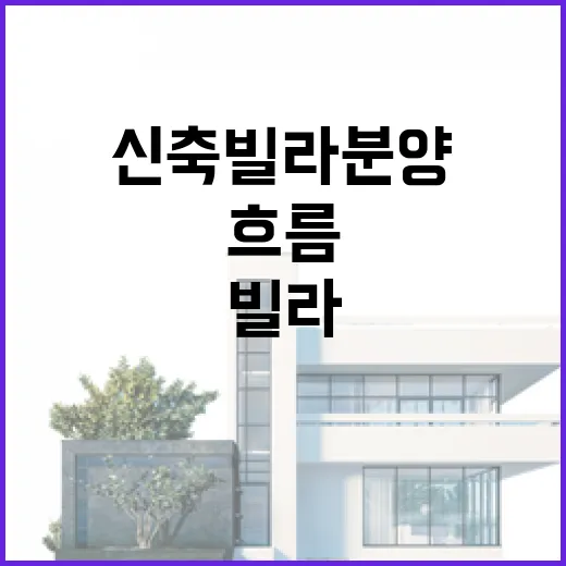 신축빌라분양 현장 따라가 봤더니, 초보가 놓치기 쉬운 돈의 흐름 - 요약