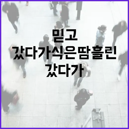 부동산어플만 믿고 입찰장 갔다가 식은땀 흘린 이야기 - 요약