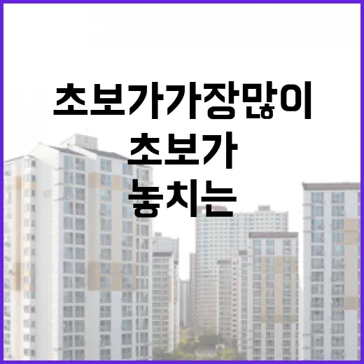 토지경매 몇 번 들어가봤더니 초보가 가장 많이 놓치는 것들 - 요약