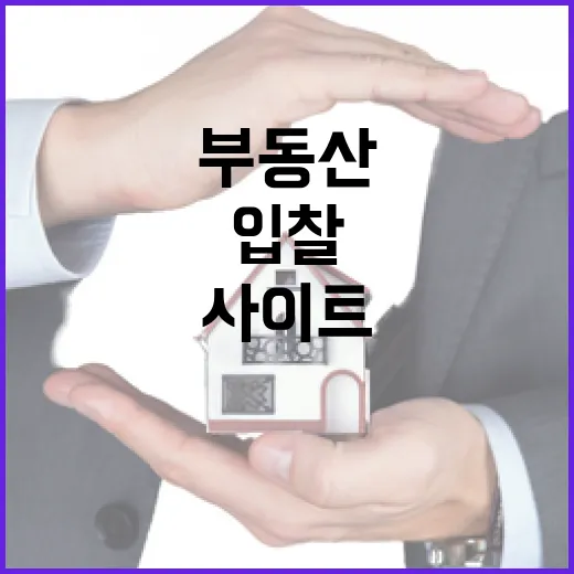 부동산사이트만 믿고 입찰했다가 현장에서 식은땀 난 이야기 - 요약