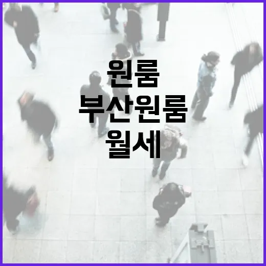 부산원룸월세 물건 직접 돌며 봤더니, 싼 방보다 무서운 건 따로 있었습니다 - 요약