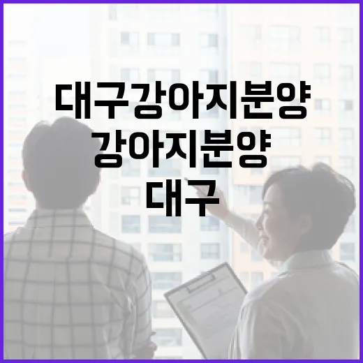 대구강아지분양 상담 따라가 봤더니, 초보 가족이 놓치기 쉬운 비용 이야기 - 요약