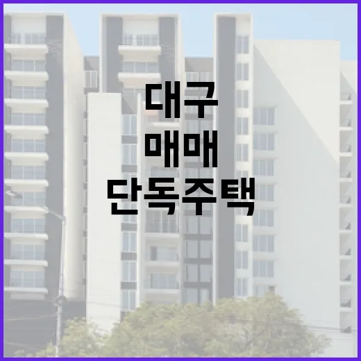 대구 단독주택 매매 물건을 몇 번 따라다녀봤더니 보인 진짜 가격 - 요약