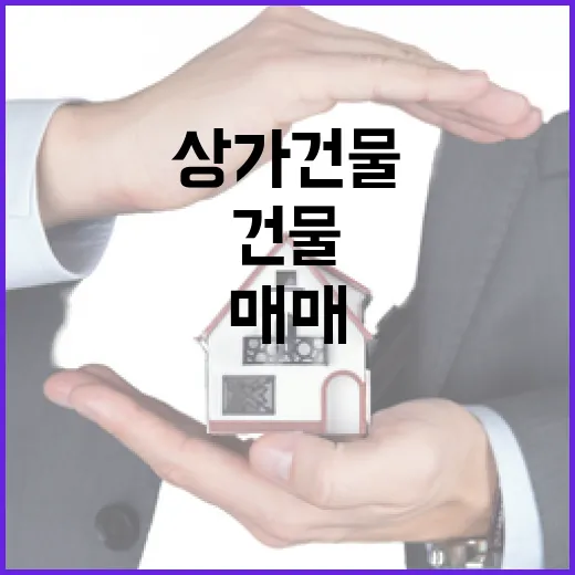 상가건물매매 현장 10년 뛰어보니, 싼 건물보다 무서운 게 따로 있더라 - 요약