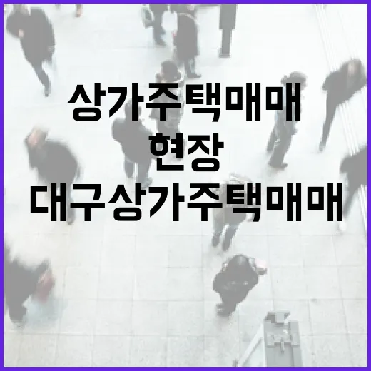 대구 상가주택 매매 물건 직접 쫓아가 봤더니 숫자보다 현장이 먼저 보였습니다 - 요약