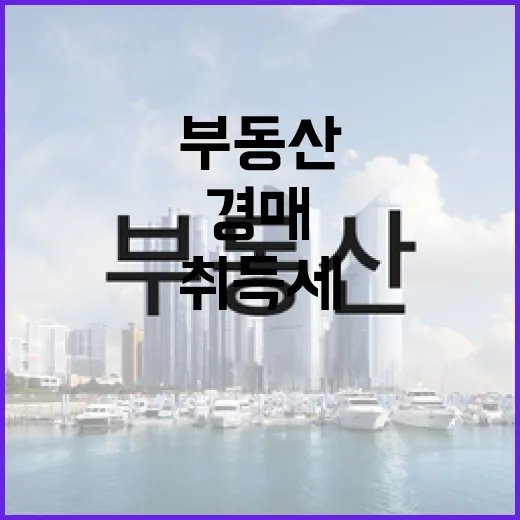 경매로 싸게 샀다 좋아했다가 부동산취득세에서 멈칫한 이야기 - 요약