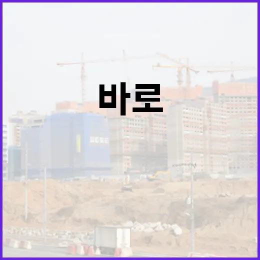 부동산학과 나왔다고 경매장에서 바로 이기는 건 아니더라 - 요약