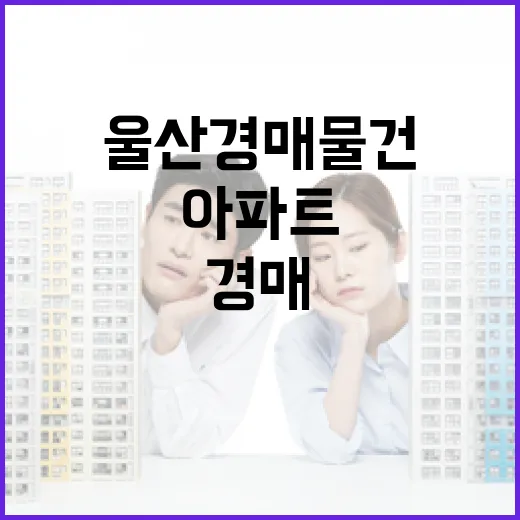 울산경매 물건 직접 뒤져봤더니, 싸 보이는 아파트보다 먼저 본 것들 - 요약