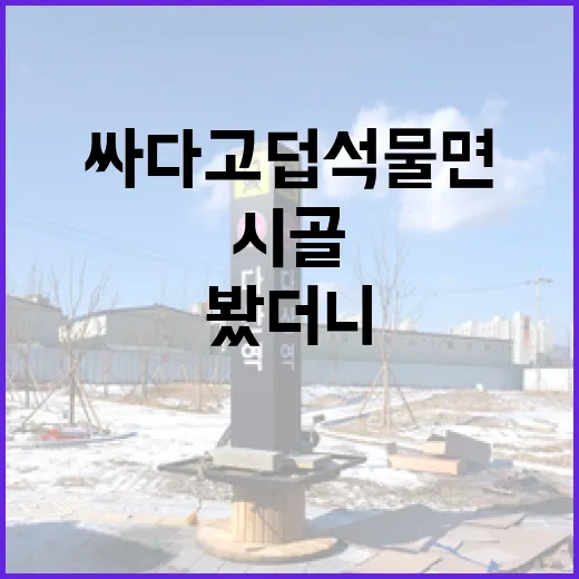 시골 땅매매 직접 따라가 봤더니, 싸다고 덥석 물면 생기는 일 - 요약