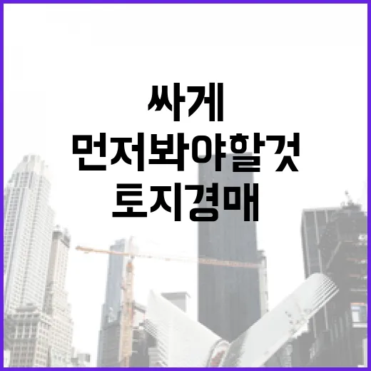 토지경매 직접 들어가 봤더니, 싸게 보이는 땅일수록 먼저 봐야 할 것들 - 요약