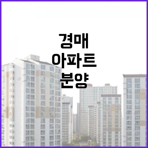 분양아파트 계약서 들고 경매 시세까지 뒤져본 진짜 이야기 - 요약