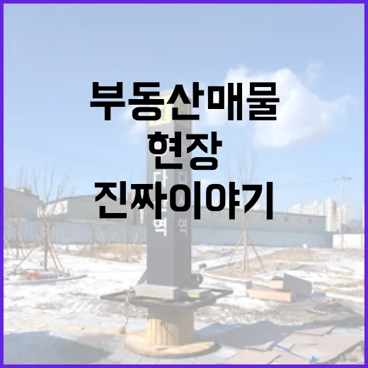 부동산매물사이트만 믿고 현장 갔다가 헛걸음한 진짜 이야기 - 요약